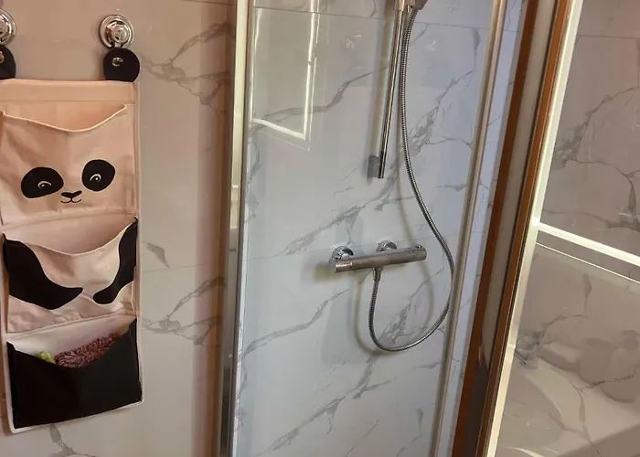 Vytauto Apartamentai Centre *